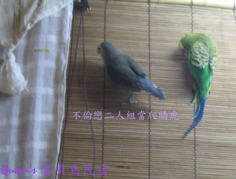 週六小聚會照片3