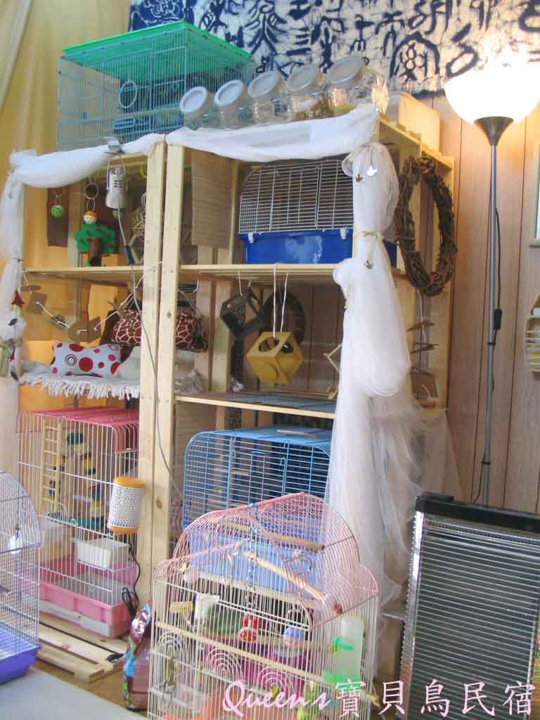 整體感覺