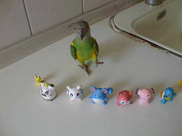 Photo 20392