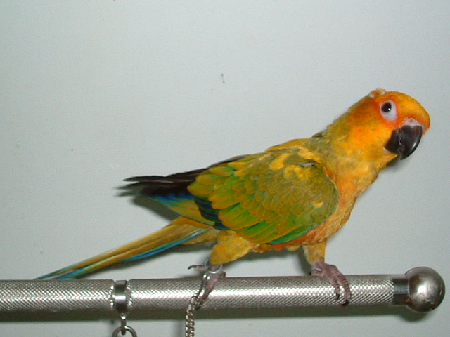 18597