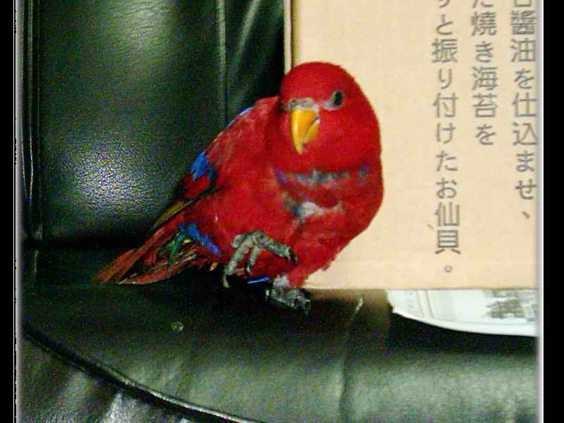 好想睡覺喔^^"