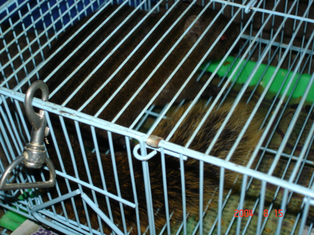猜猜我是誰