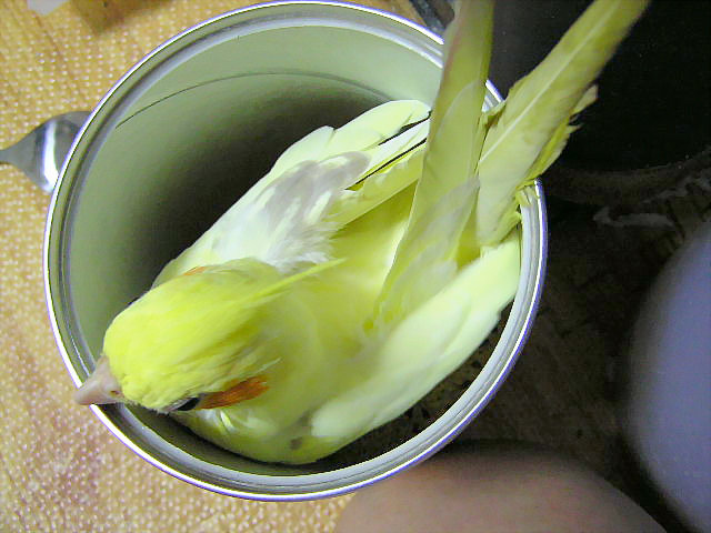 出來了...