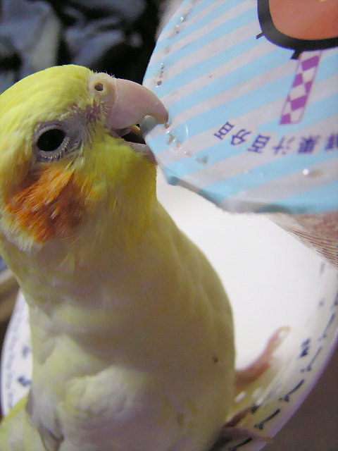 我是受虐兒