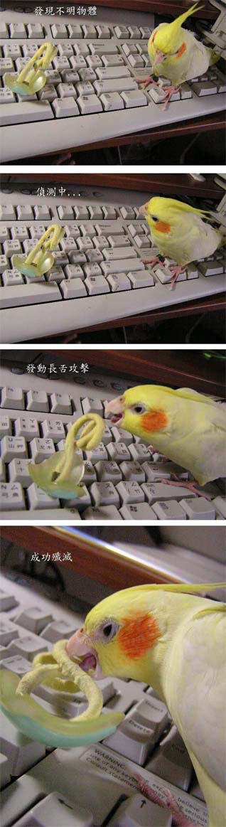 長舌攻擊行動