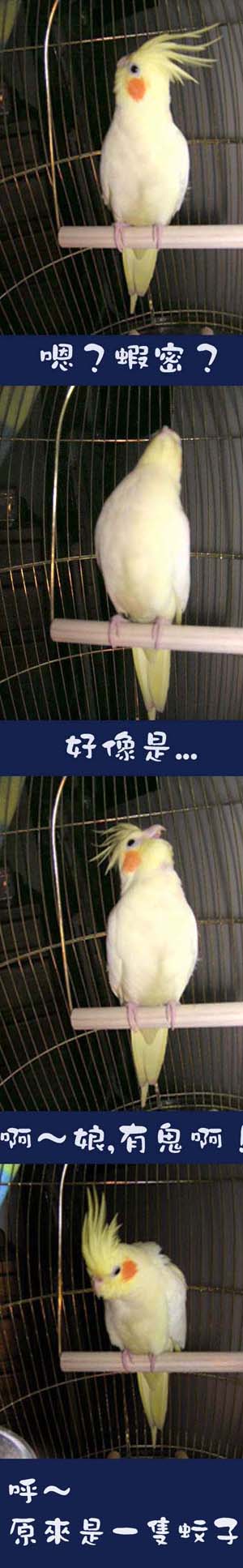 見鬼記