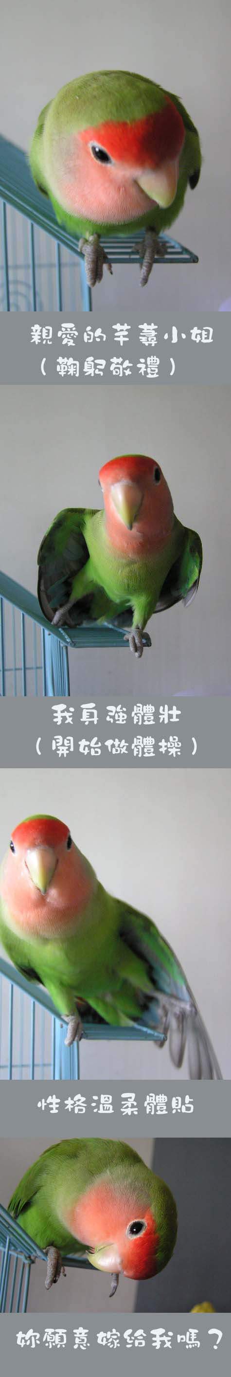 To 芊尋小姐