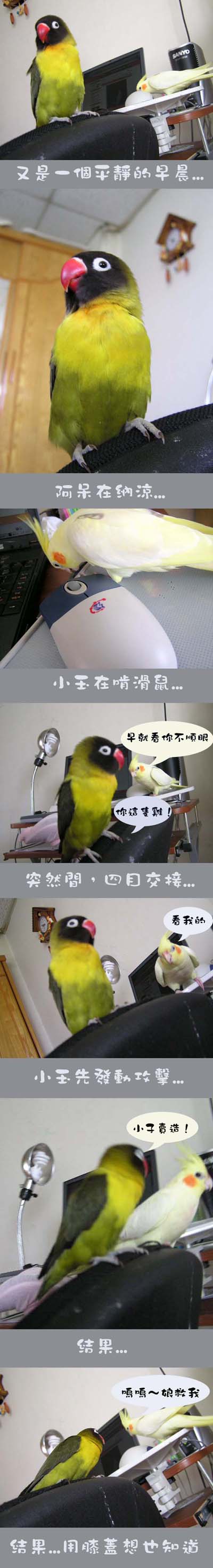戰鬥記