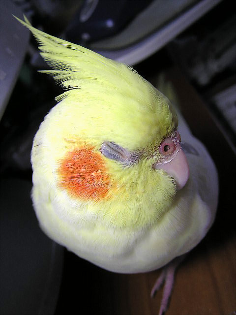 睡搞搞