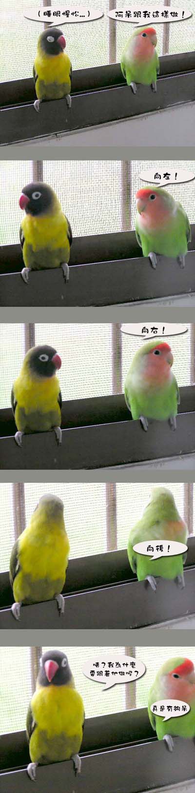 體操記