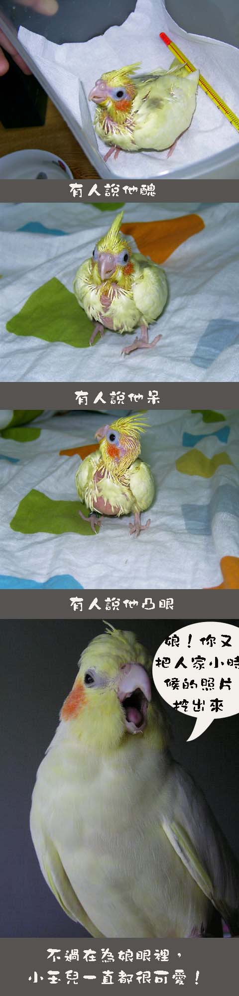 他素隨？