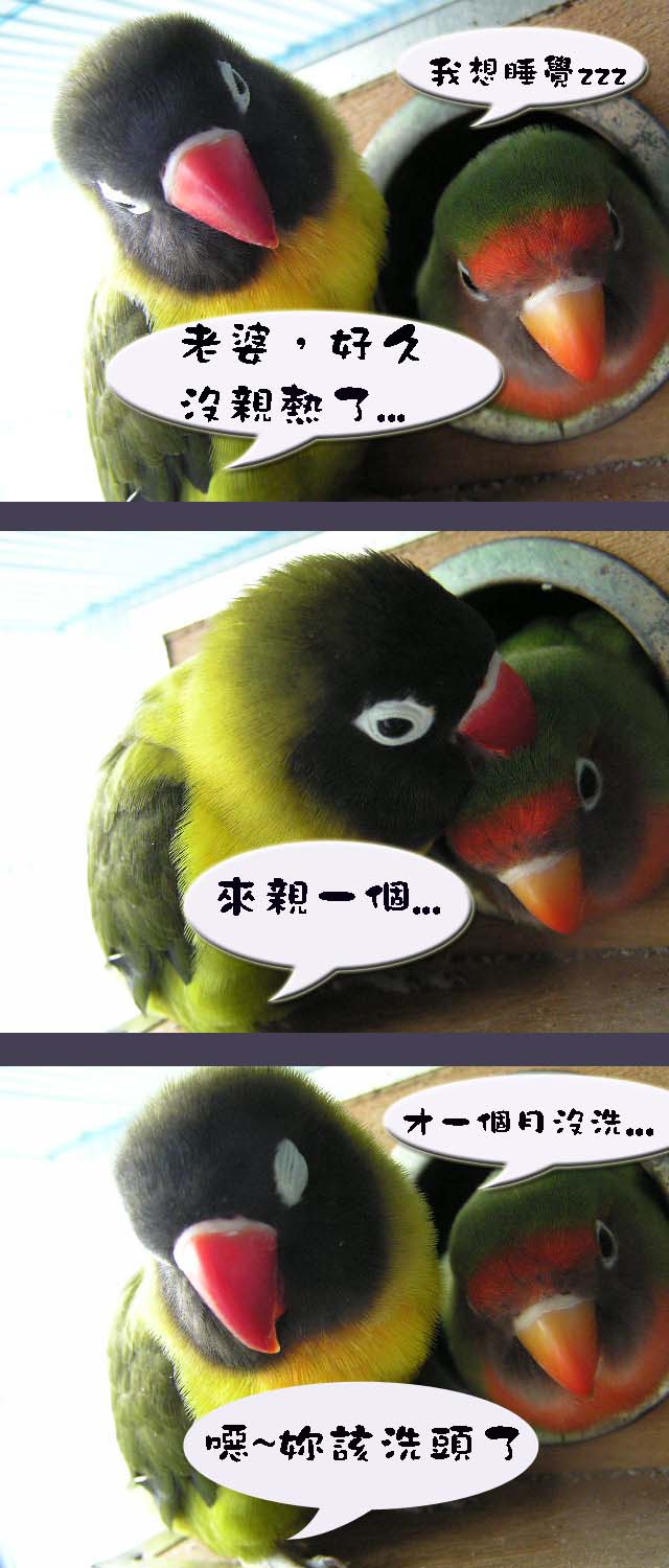 老婆，妳該洗頭了