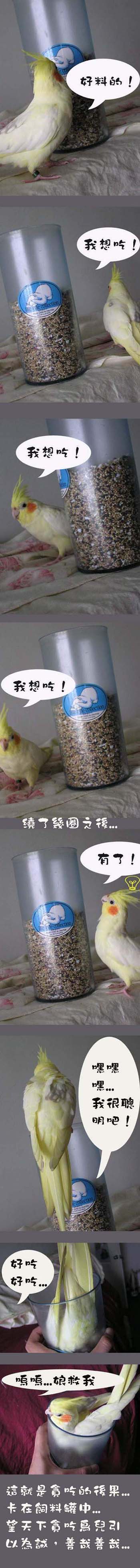 貪吃的後果