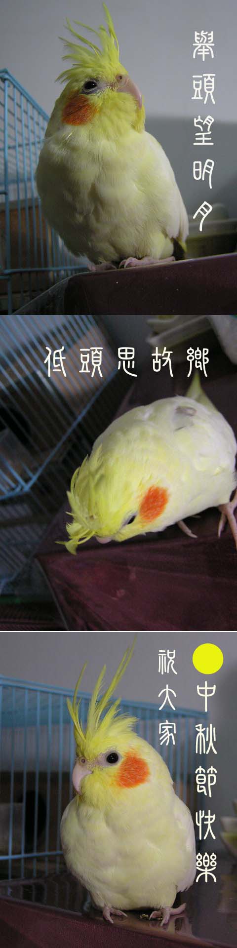 O 中秋節快樂 O