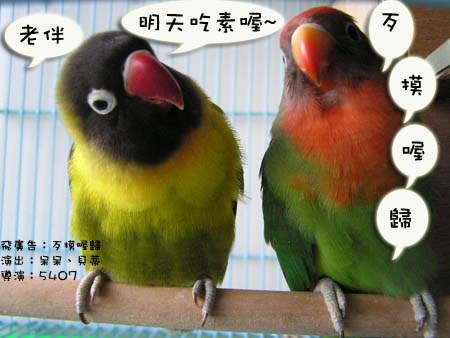 飛廣告
