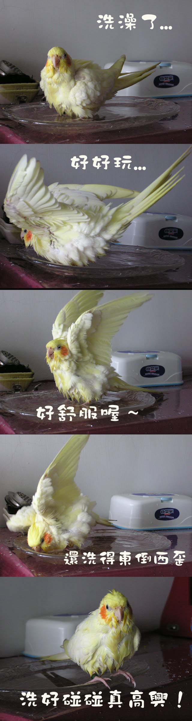 洗碰碰囉！