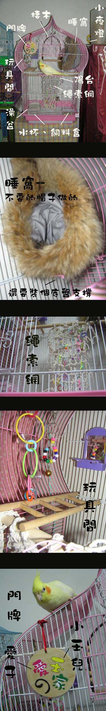 愛玉之家新居落成