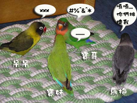 開會中...