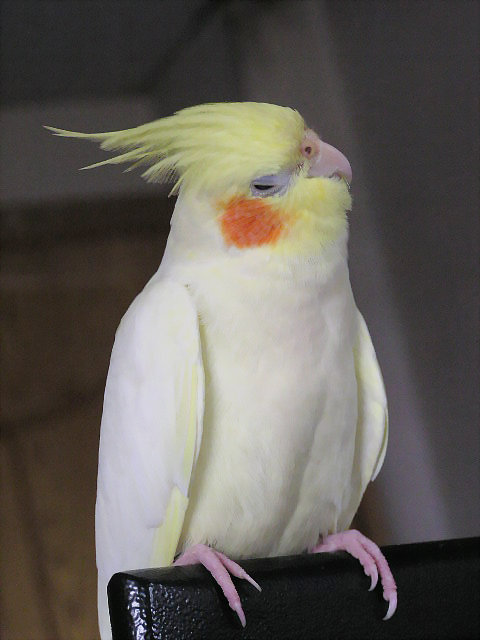 陶醉樂聲中～♪