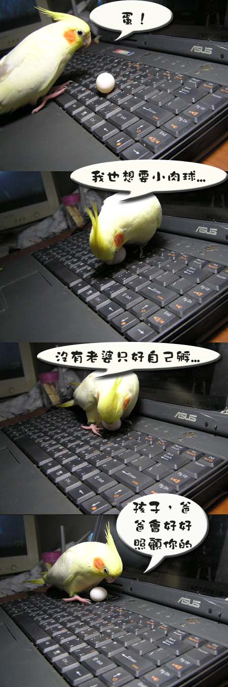 羅漢腳的悲哀