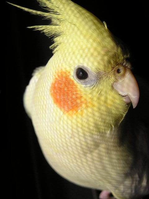 迎向陽光