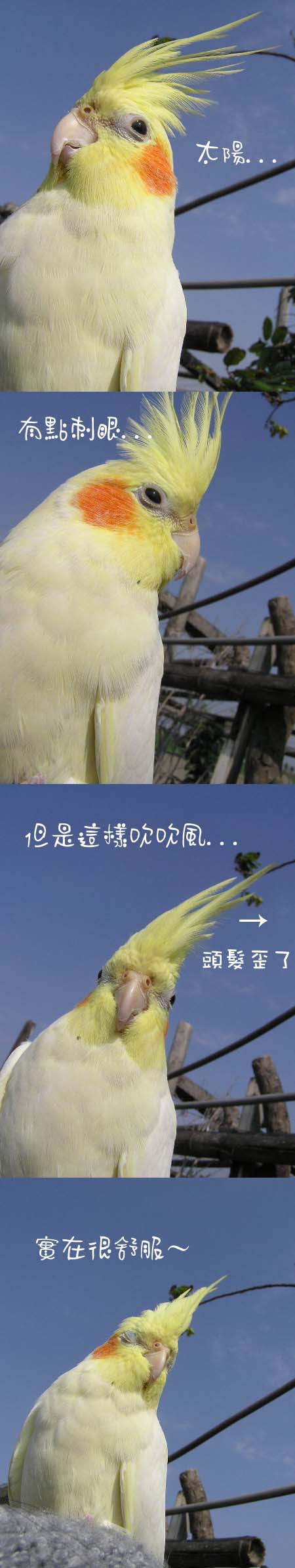 出門散散步