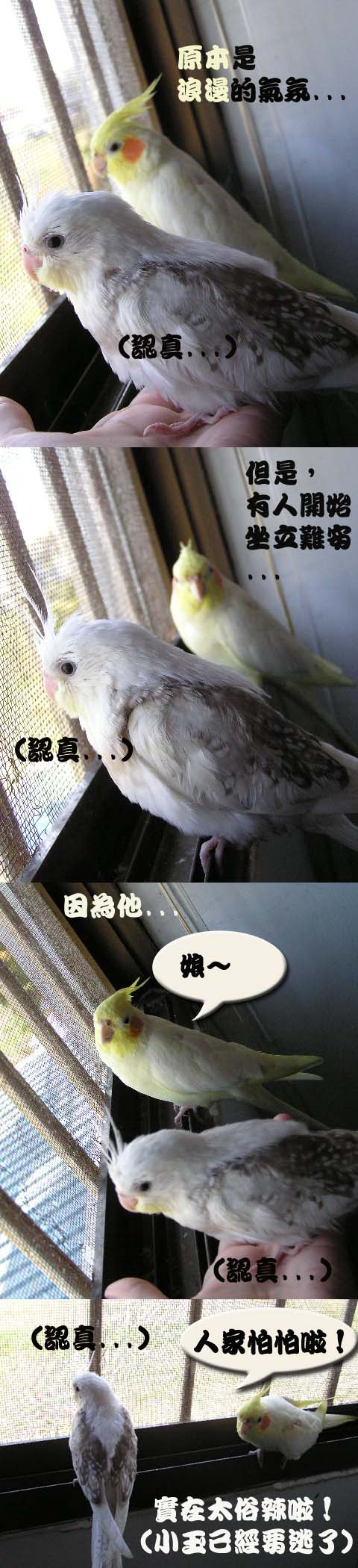 愛子與小玉
