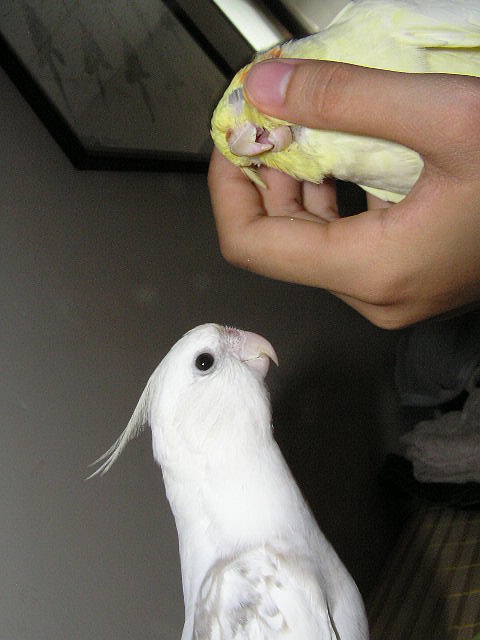 排隊～
