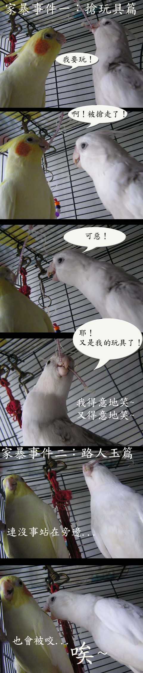 愛玉家暴事件