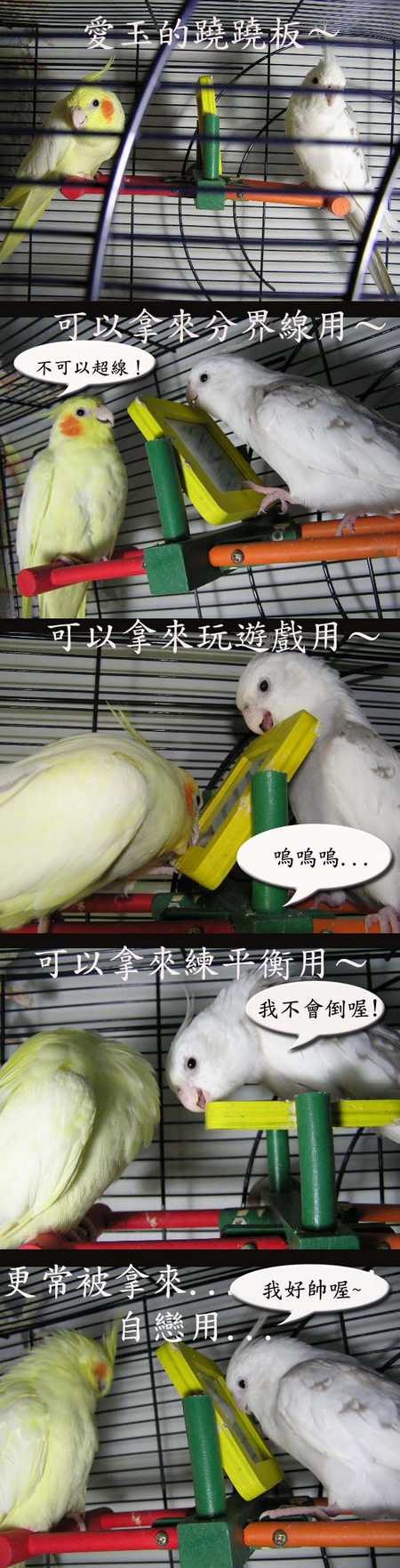 愛玉的蹺蹺板
