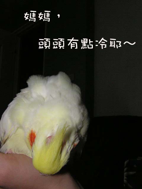 冬天到了...