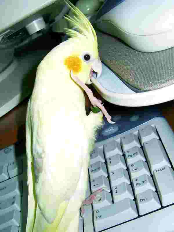 微笑打招呼