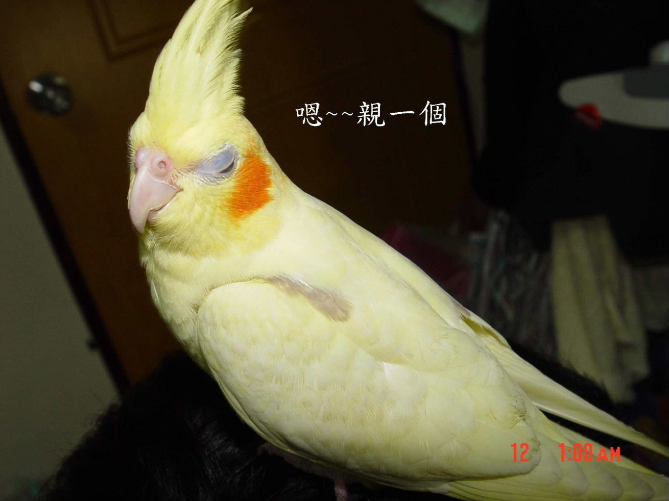 嗯~親一個
