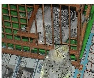 放我出去