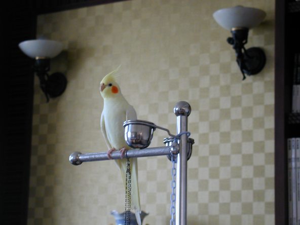 小寶貝
