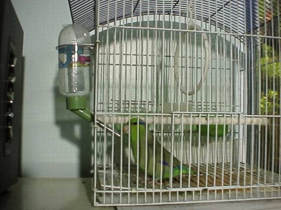 飲水器~