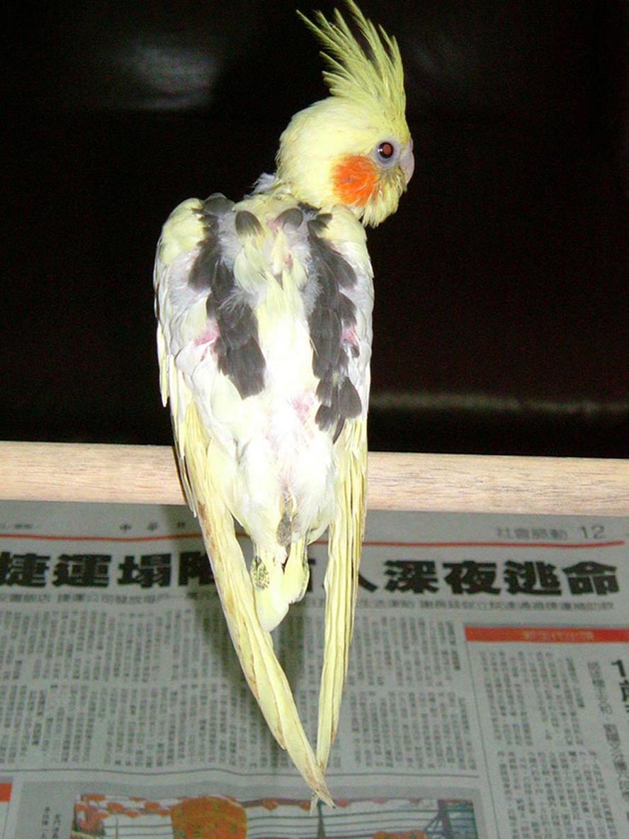 江雪~~