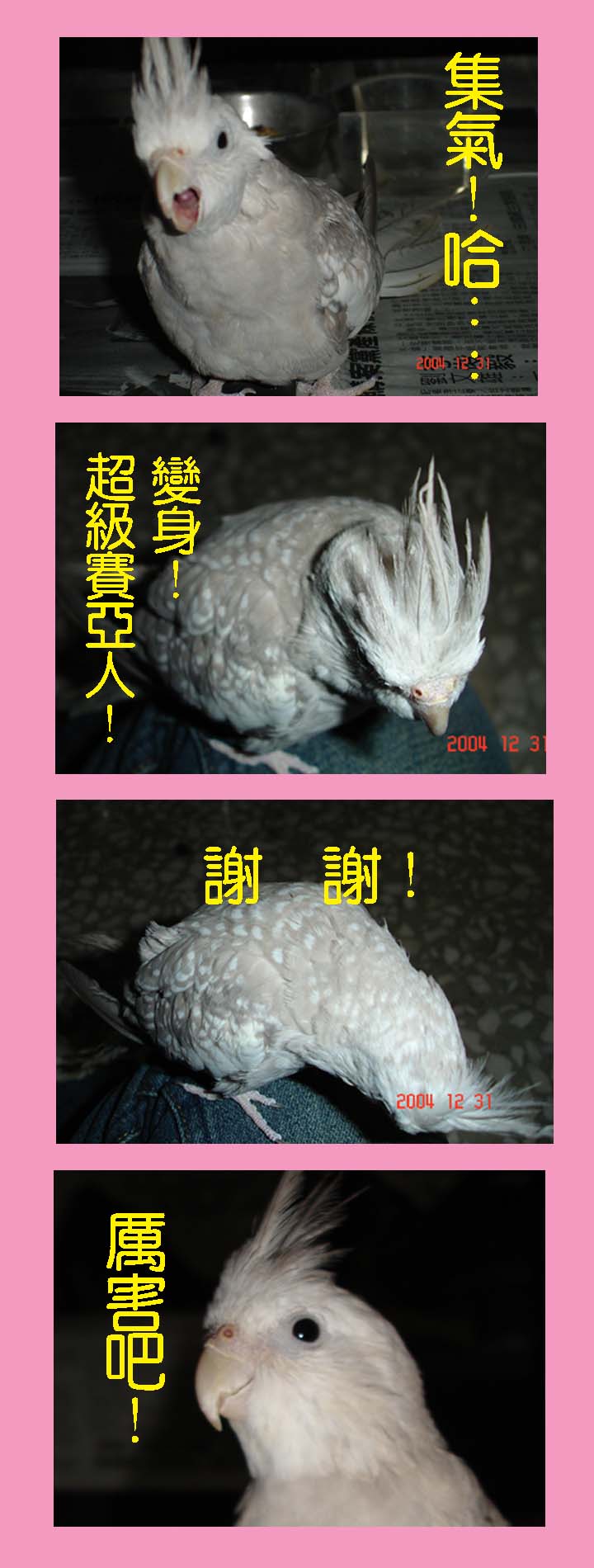 春秋變身!