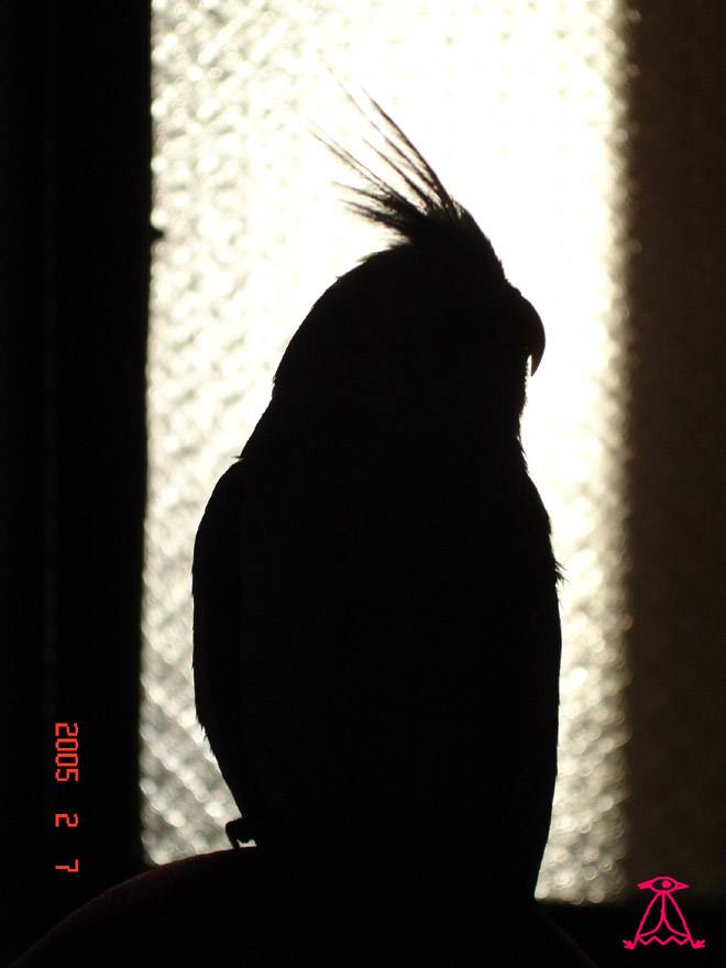Silhouette 2