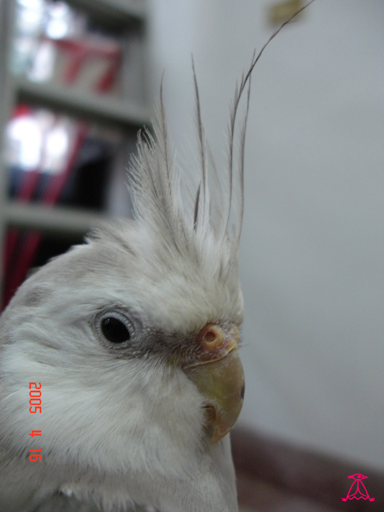 漠然...=.=