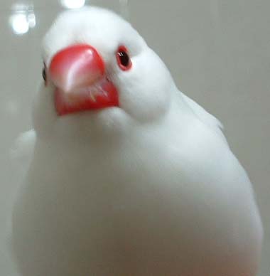 氣死了！