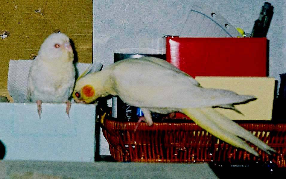 膜拜您...