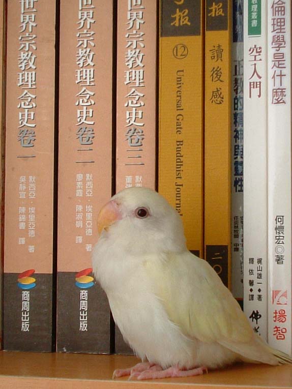 長大了就該去上學囉！