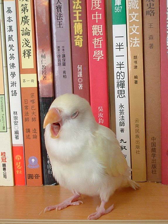 啊，太無趣了！