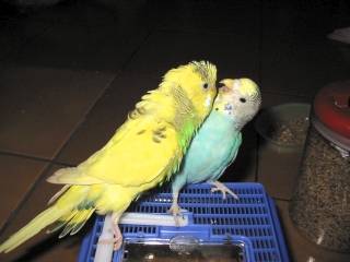 Come on, baby...Kiss Kiss