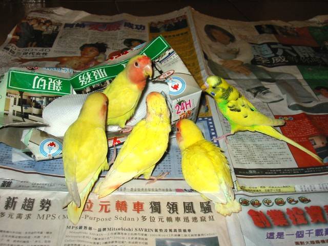 新生訓練
