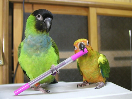 阿勇 & 小雄