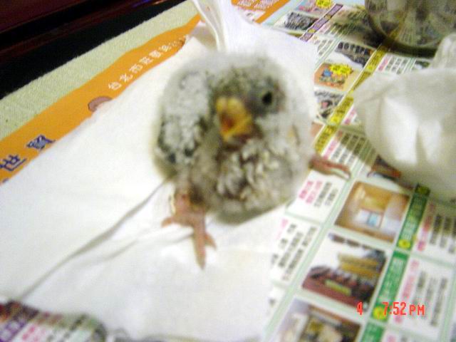 小小閃光~~