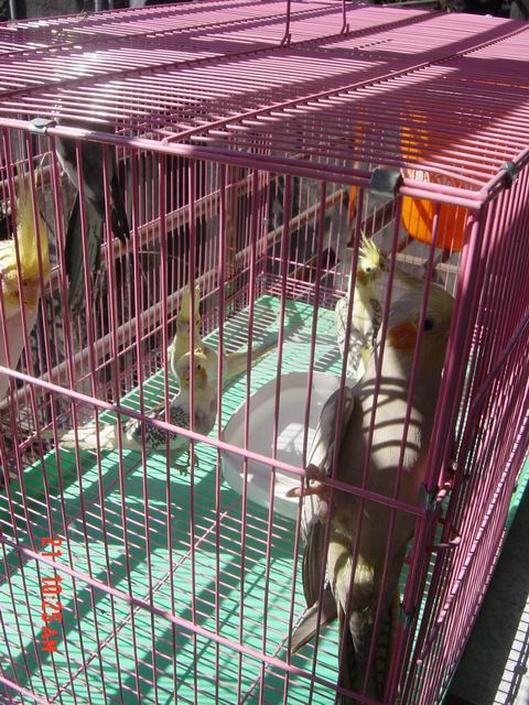 天氣真好ㄟ..日光浴摟~~