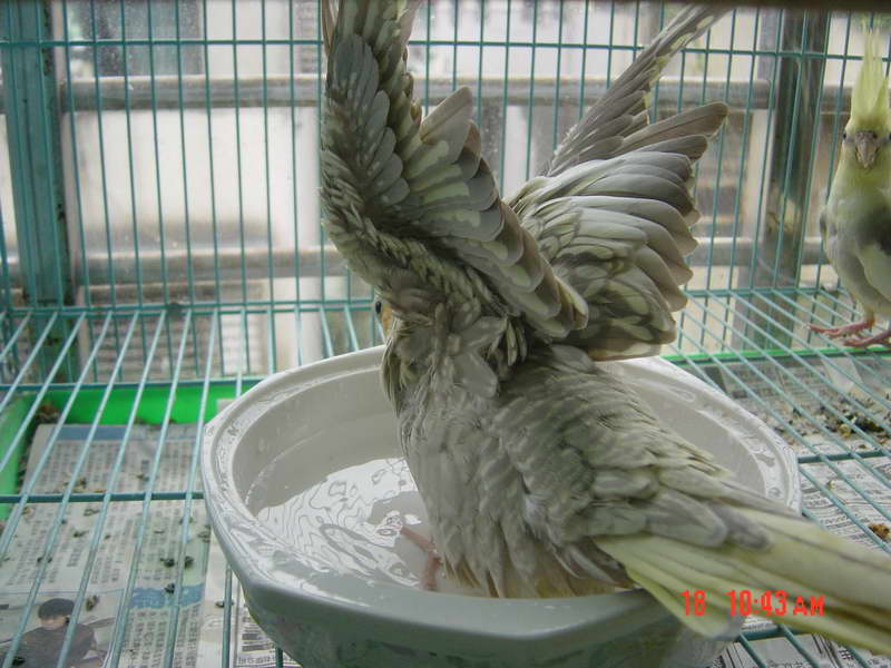 洗彭彭摟!!!